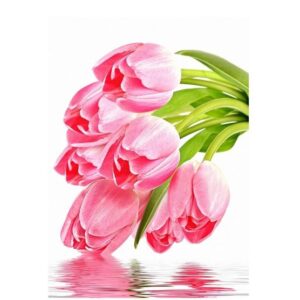 Фотообои «Тюльпаны над водой» (из 2-х листов) 2,0×2,8 м